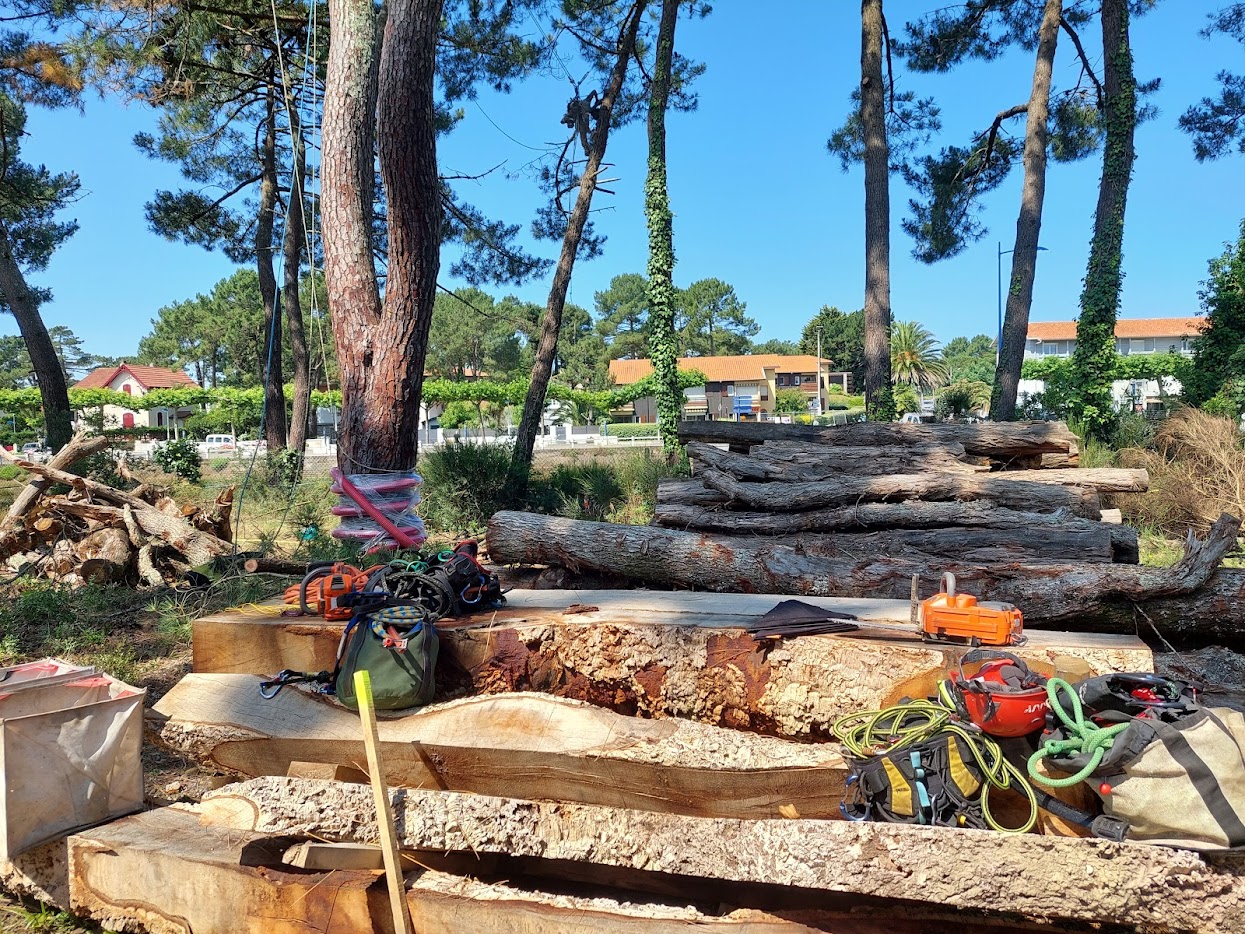 Arbres et Nature Elagueur et abattage à Seignosse Landes